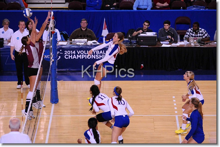 You have reached the last slide