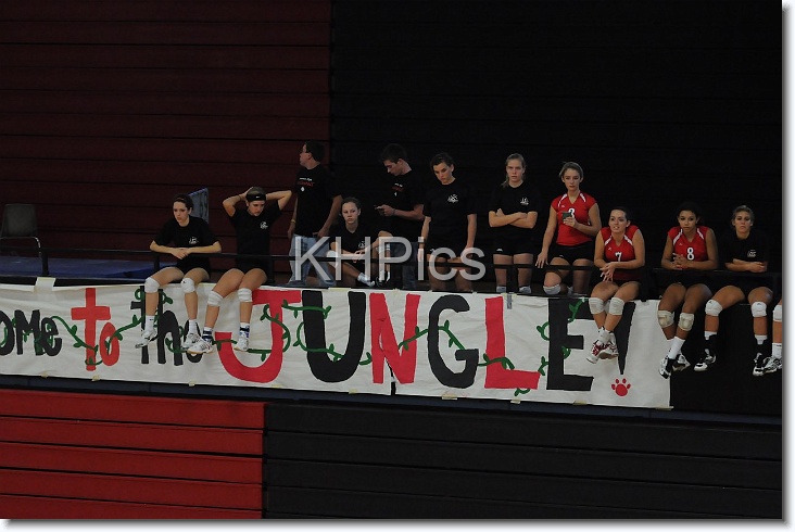 You have reached the last slide