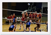 DSC_3819 * 1280 x 850 * (219KB)