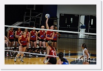 DSC_3831 * 1280 x 850 * (182KB)