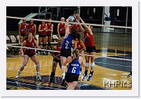 DSC_3905 * 1280 x 850 * (236KB)