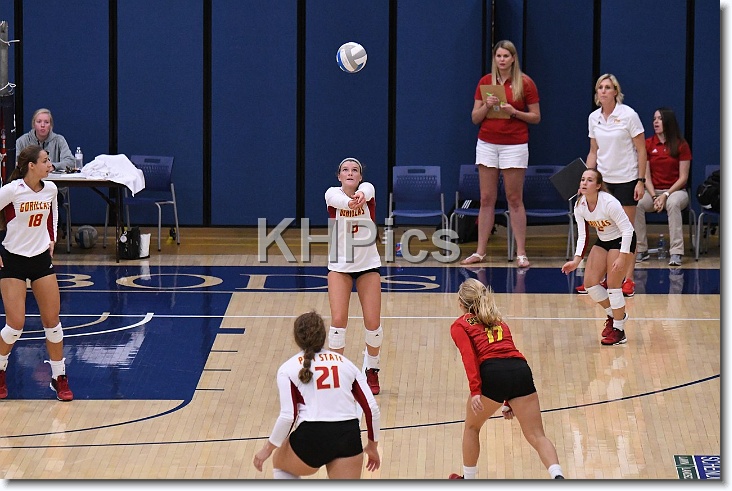 You have reached the last slide