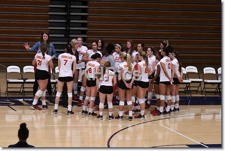 You have reached the last slide