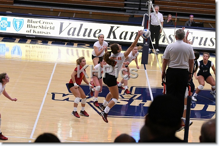 You have reached the last slide