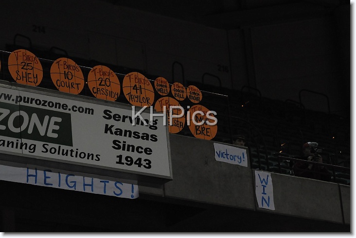 You have reached the last slide