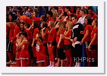 0115-203817-DSC_6689