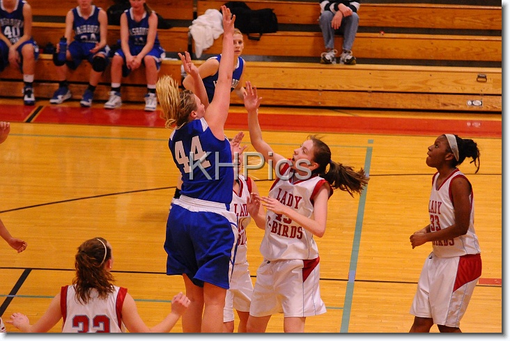 You have reached the last slide