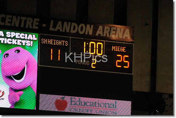 You have reached the last slide