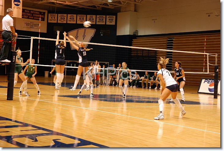 You have reached the last slide