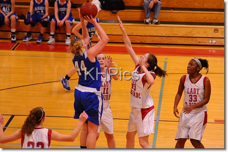 You have reached the last slide