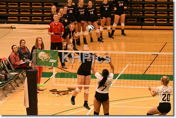 You have reached the last slide